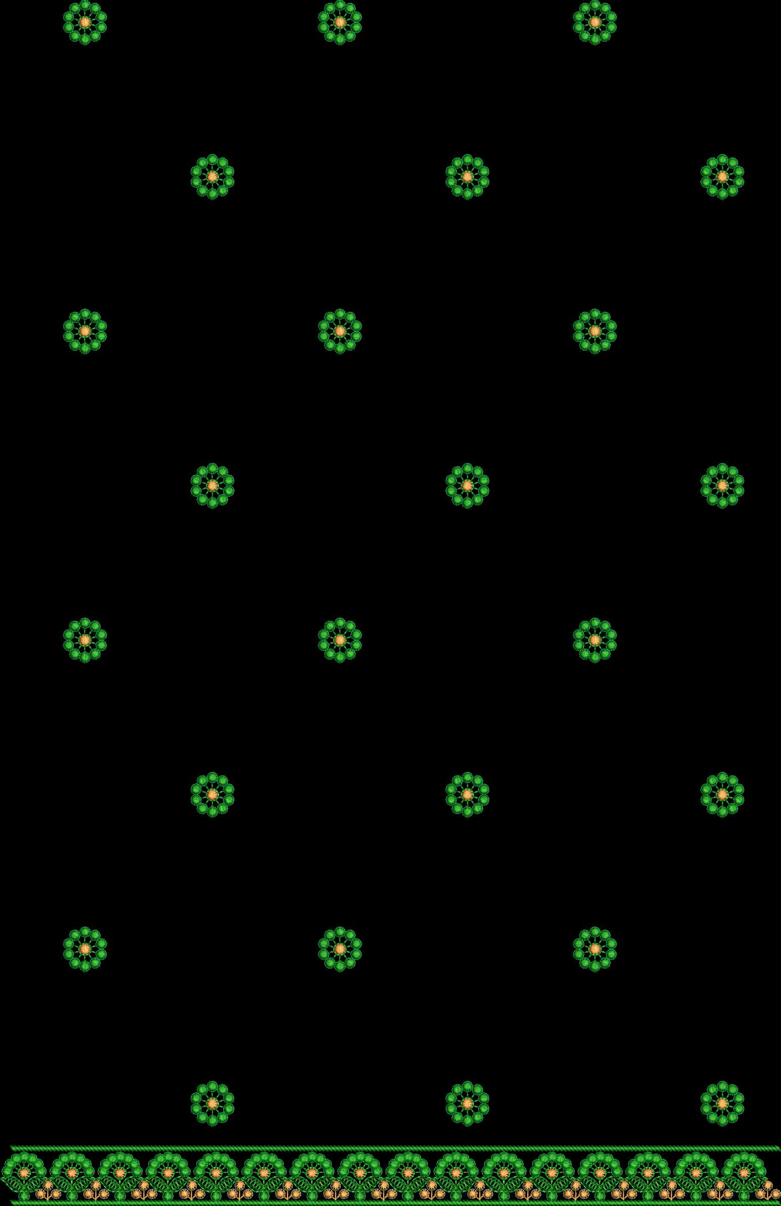 C255c