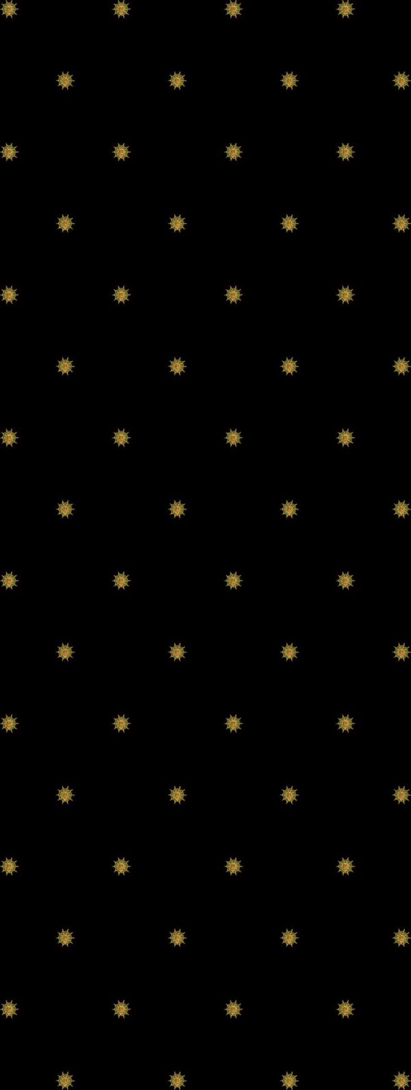 C255ca