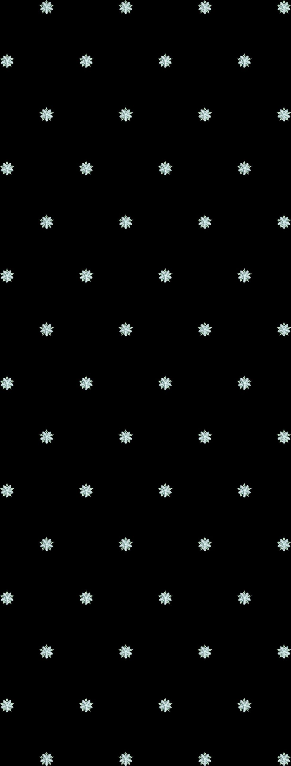 C642bo