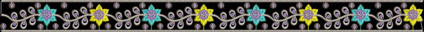 C691a